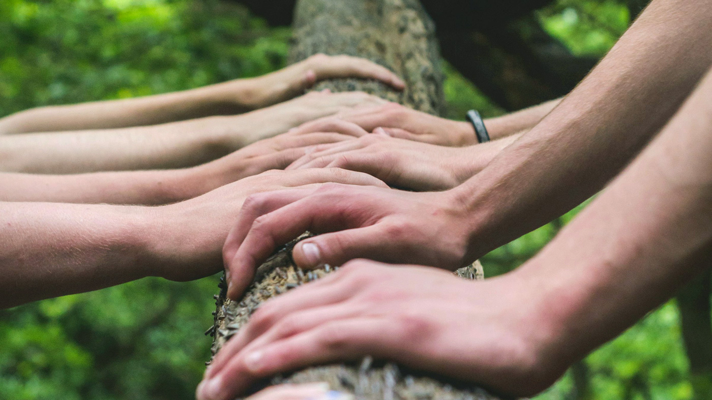 Nature Connection – ein wachsendes Netzwerk für Umweltbildner:innen