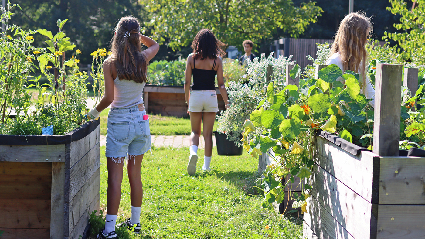 Urban Gardening Generation – junges Gärtnern für Biodiversität, Klimaschutz und Gesundheit